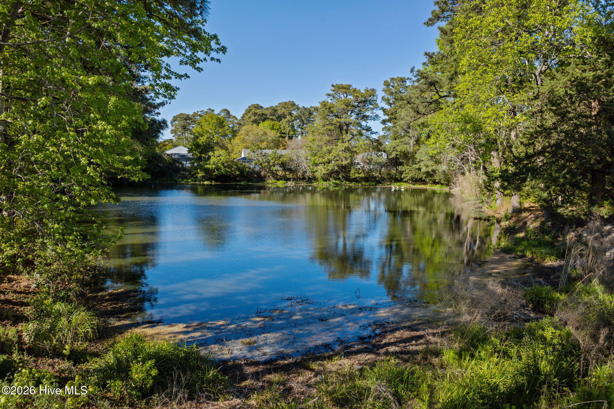 303 Barbour Road 1004