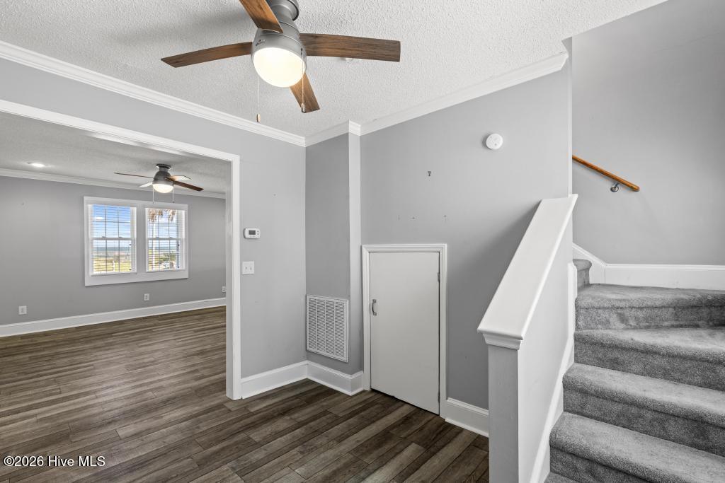 173 Salter Drive