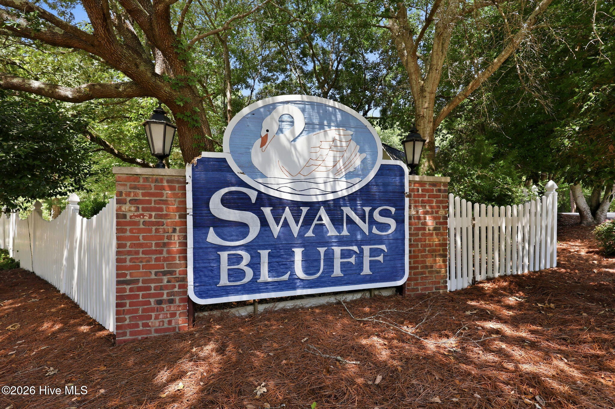 123 White Swan Way