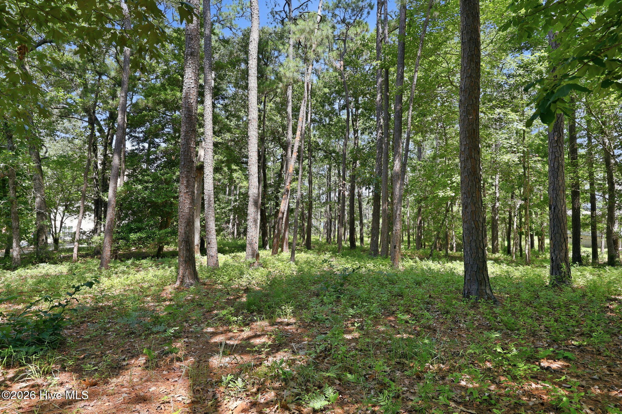 123 White Swan Way