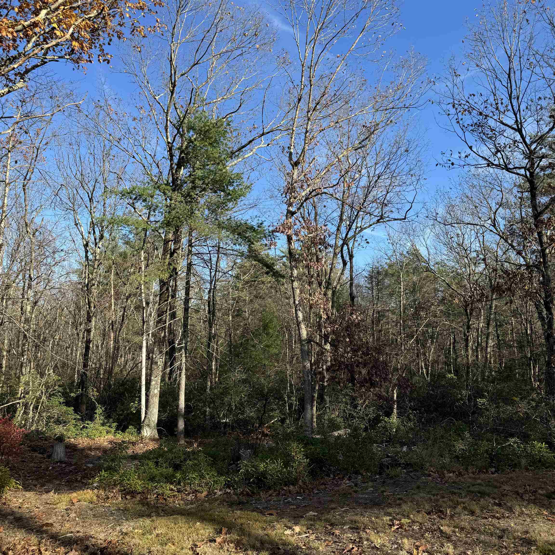 310 Hurricane Hill Road