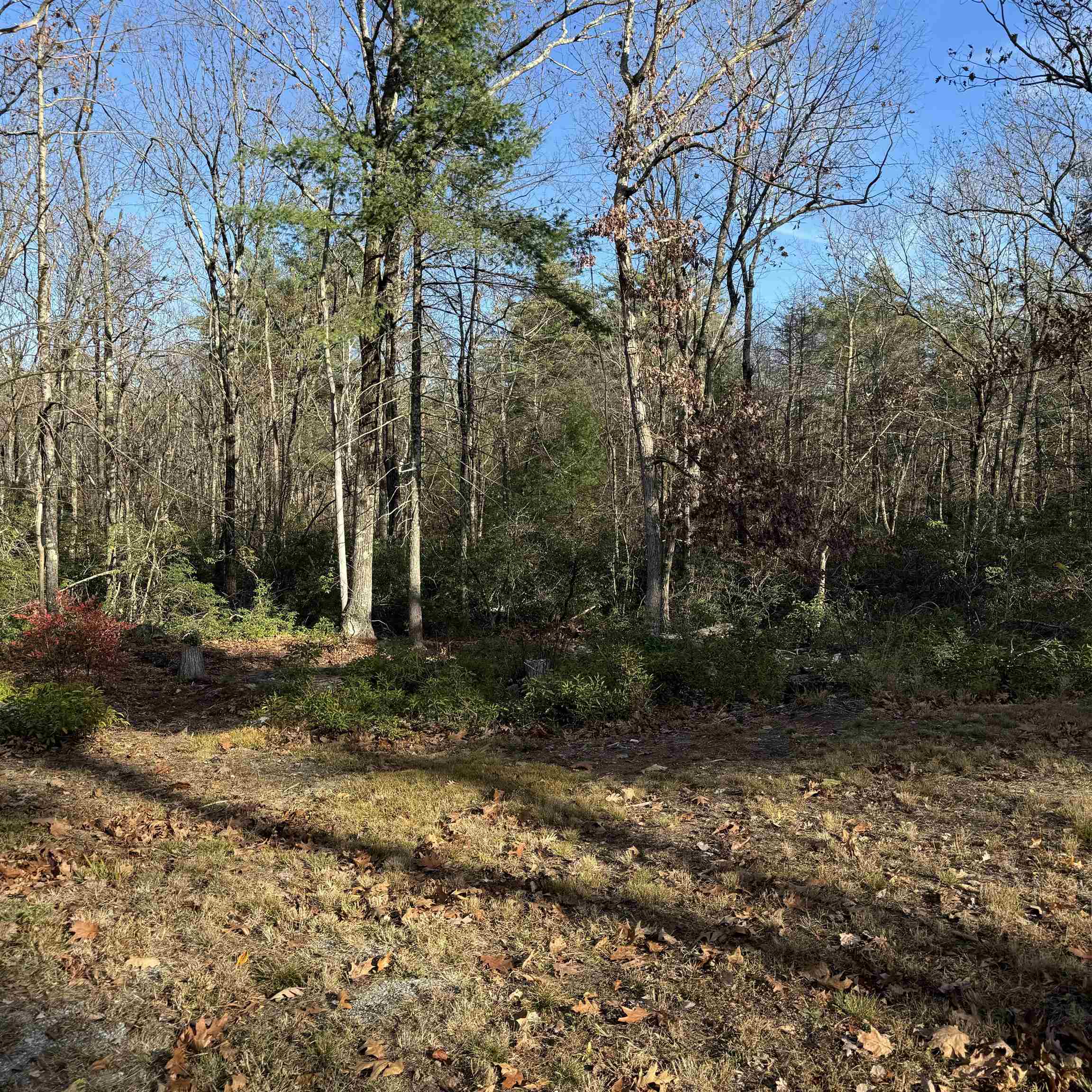 310 Hurricane Hill Road