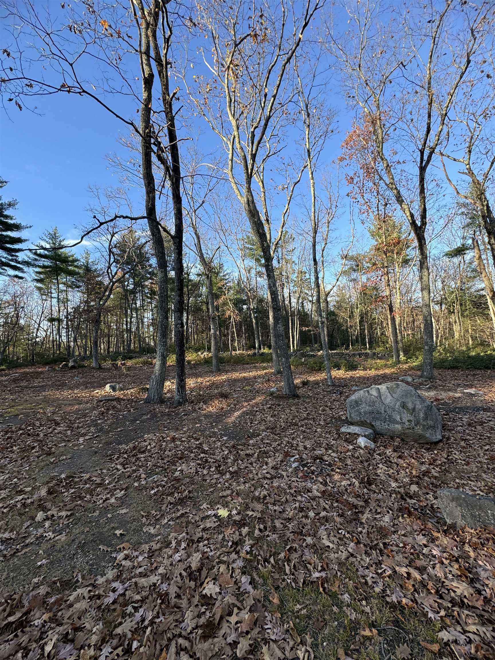 310 Hurricane Hill Road