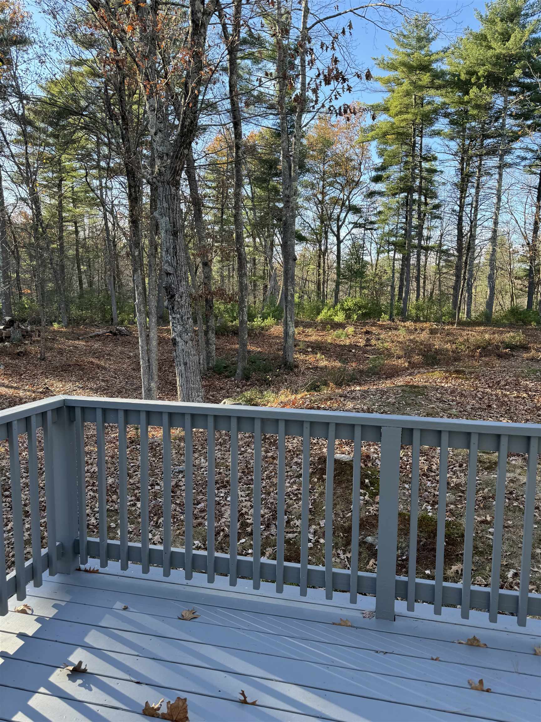 310 Hurricane Hill Road