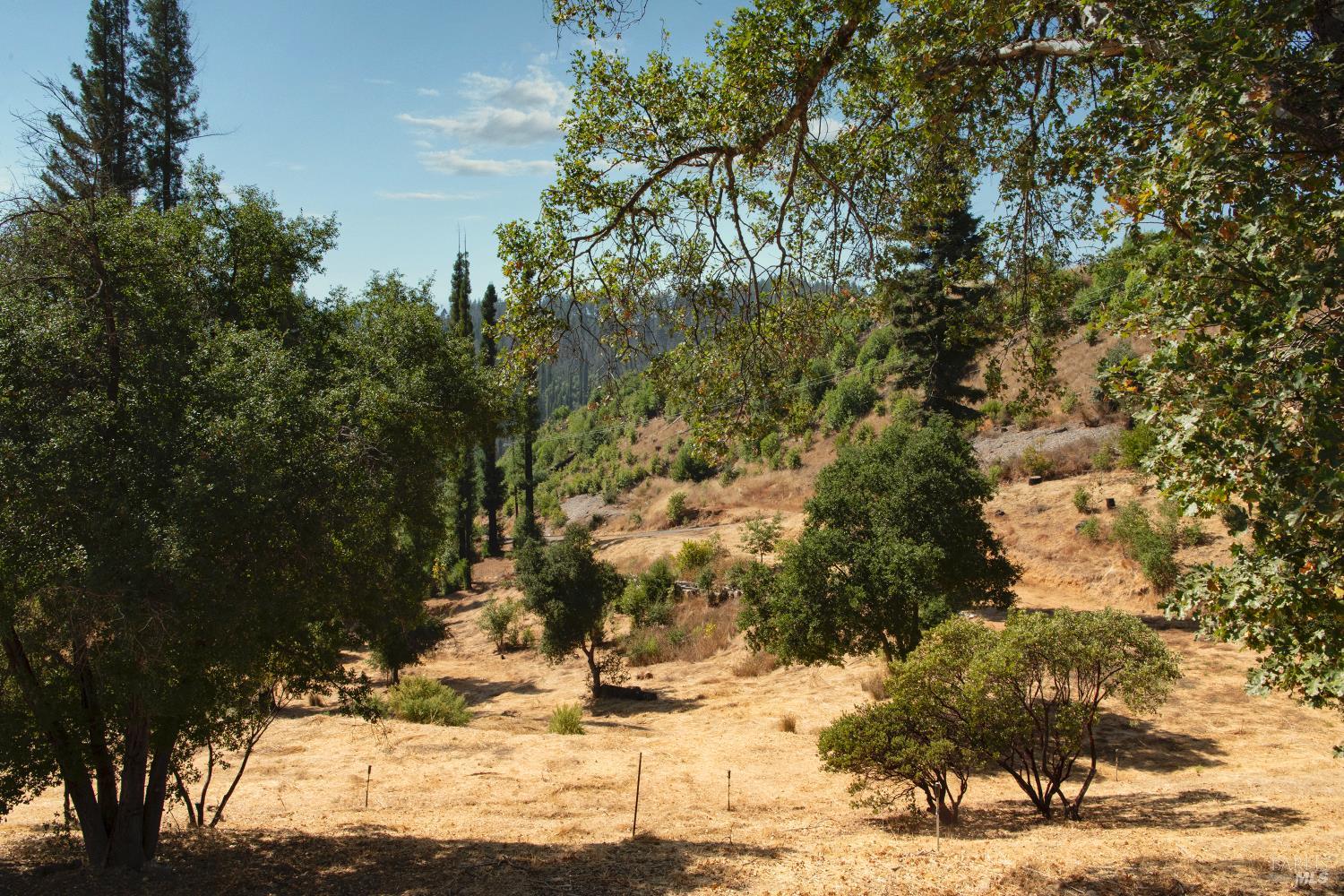 9451 Mill Creek Road