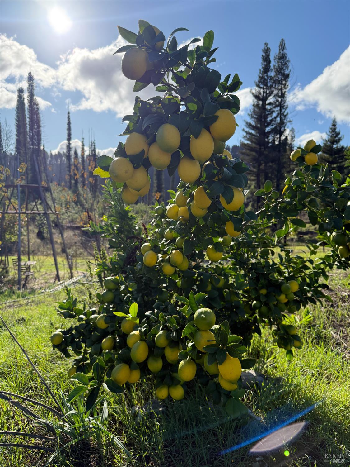 9451 Mill Creek Road