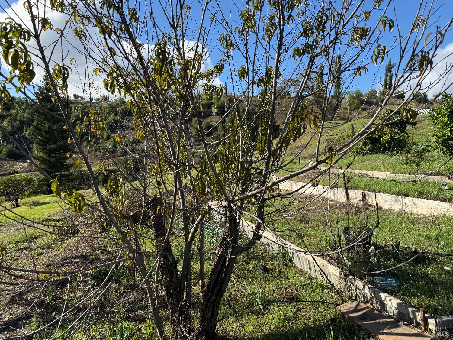 9451 Mill Creek Road