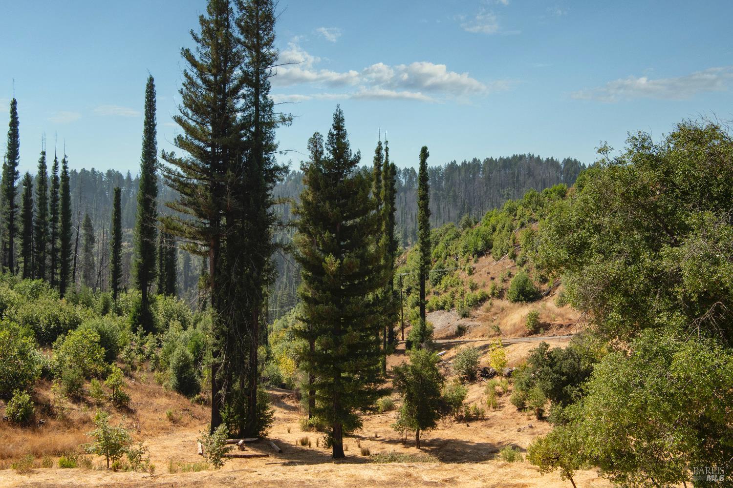 9451 Mill Creek Road