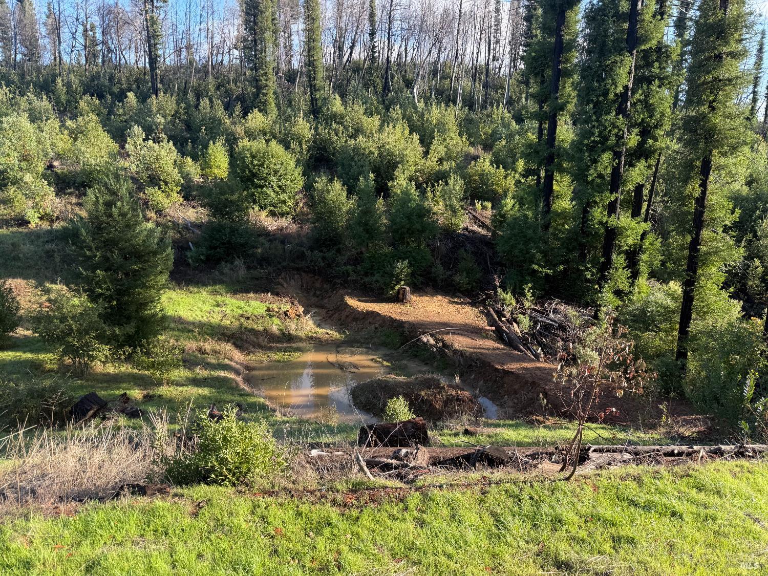 9451 Mill Creek Road