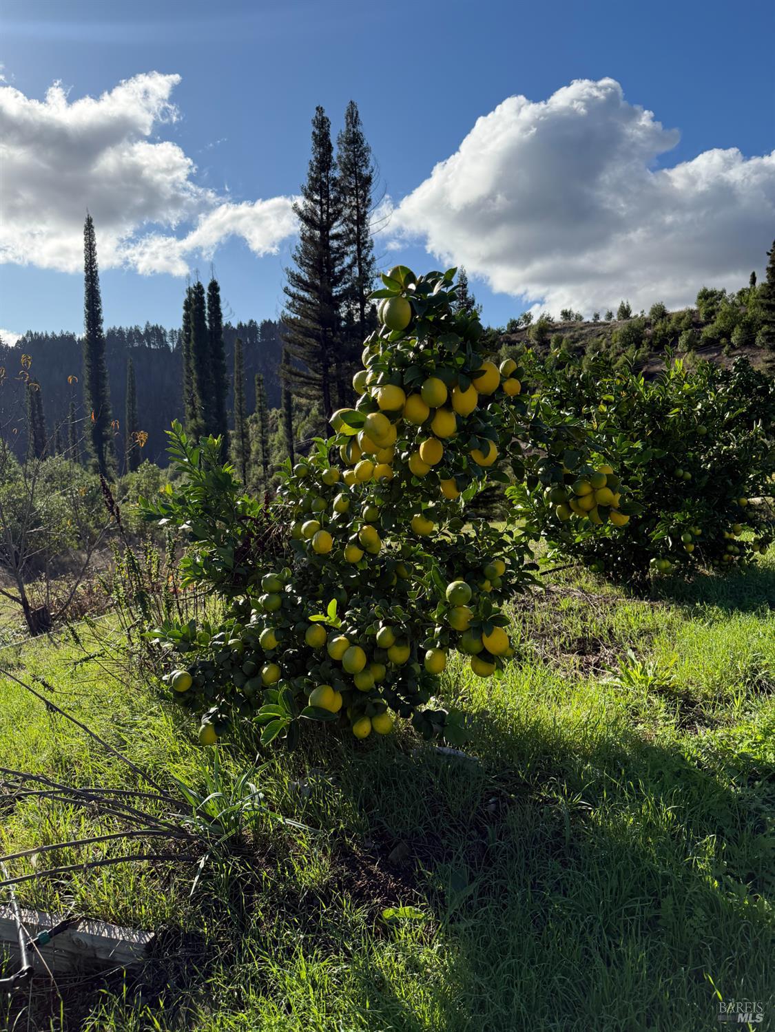 9451 Mill Creek Road