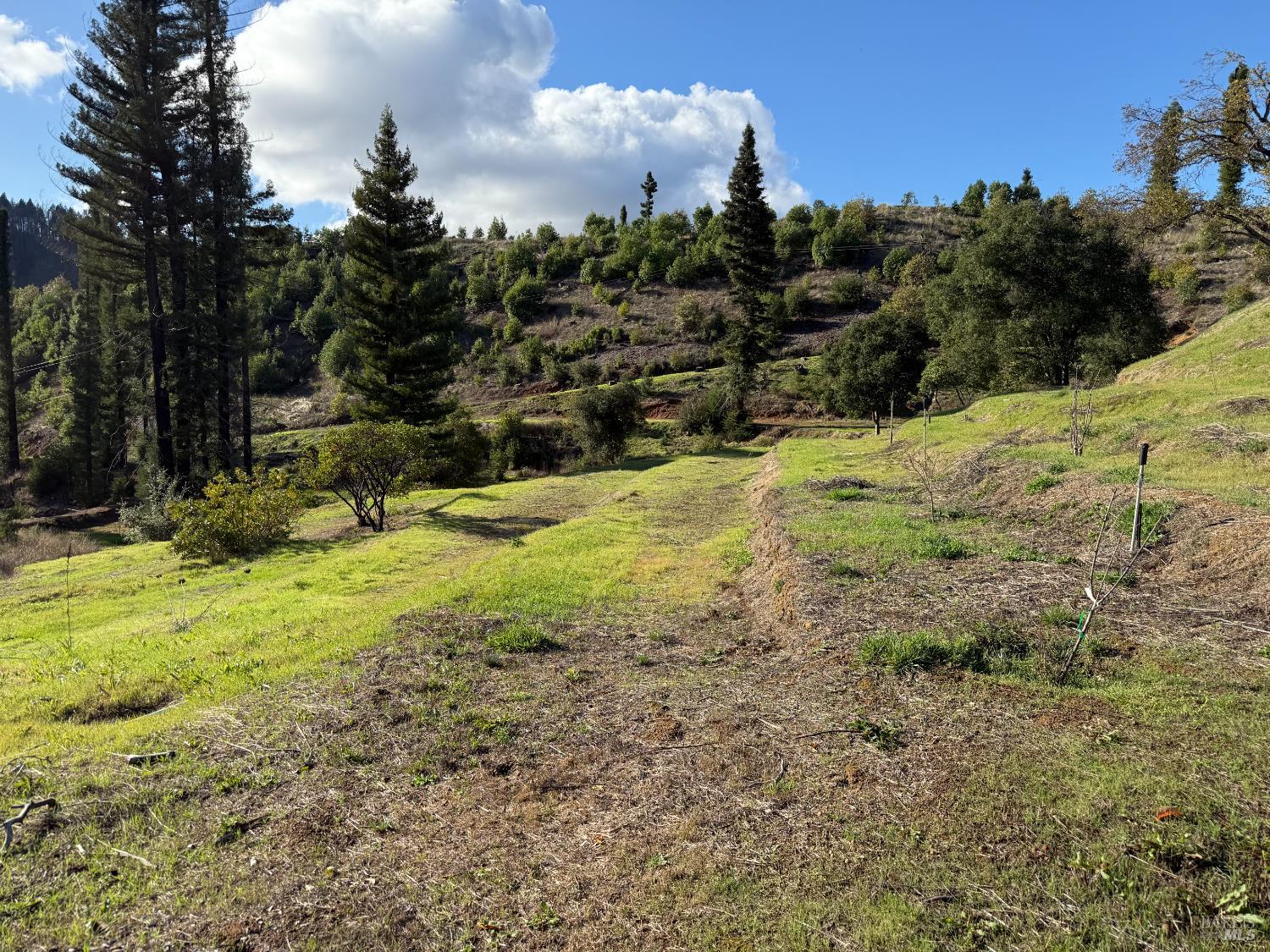 9451 Mill Creek Road