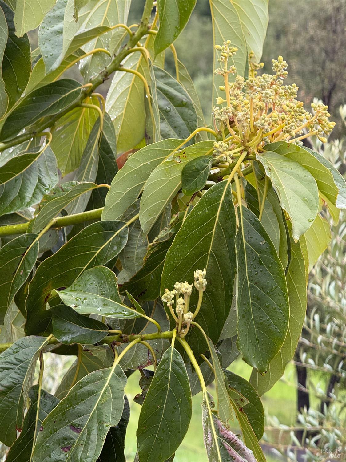 9451 Mill Creek Road