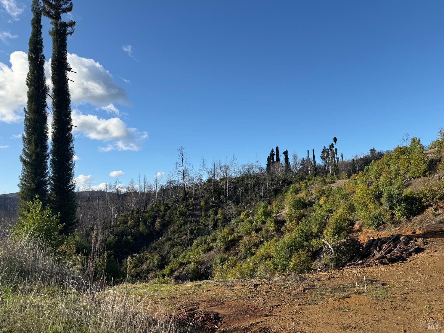 9451 Mill Creek Road