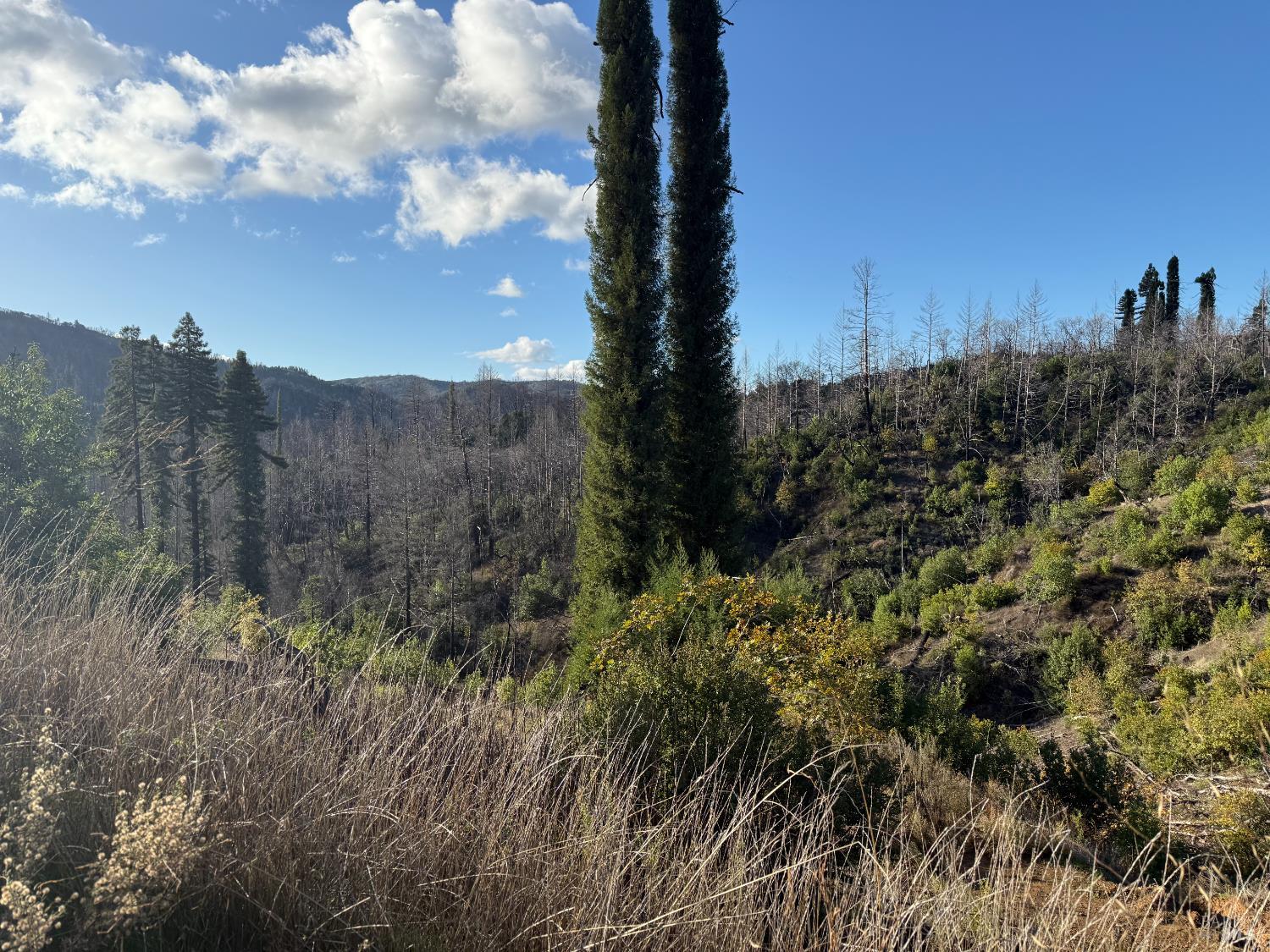 9451 Mill Creek Road