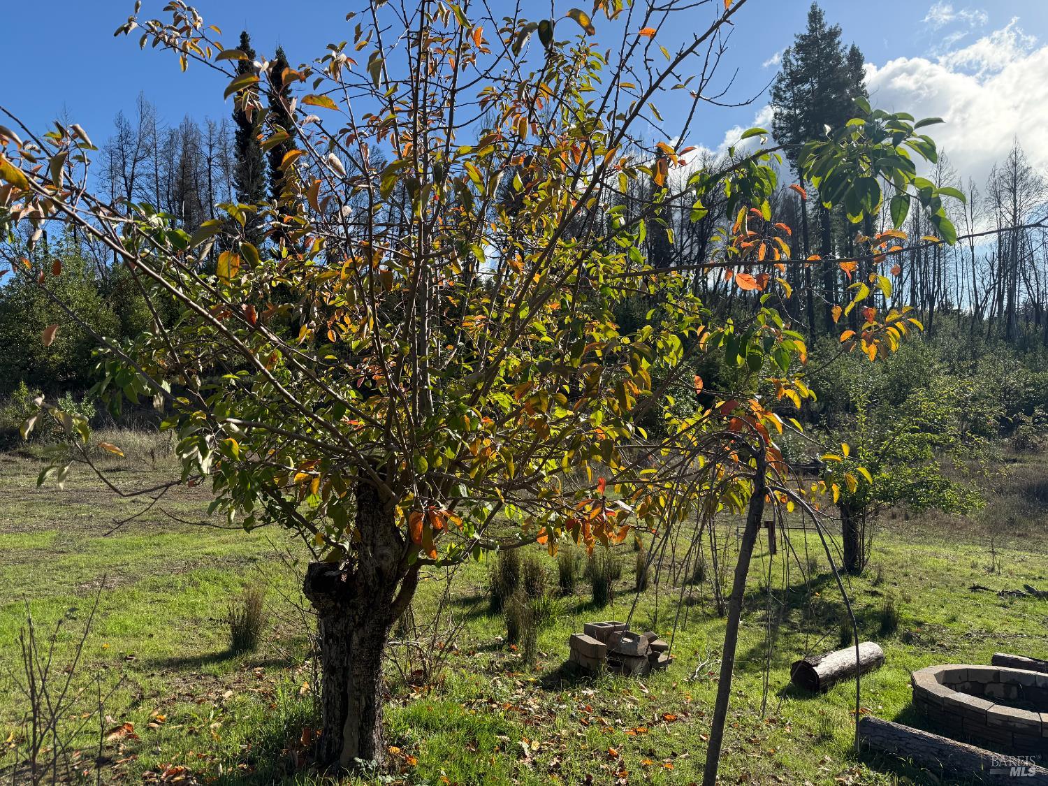 9451 Mill Creek Road