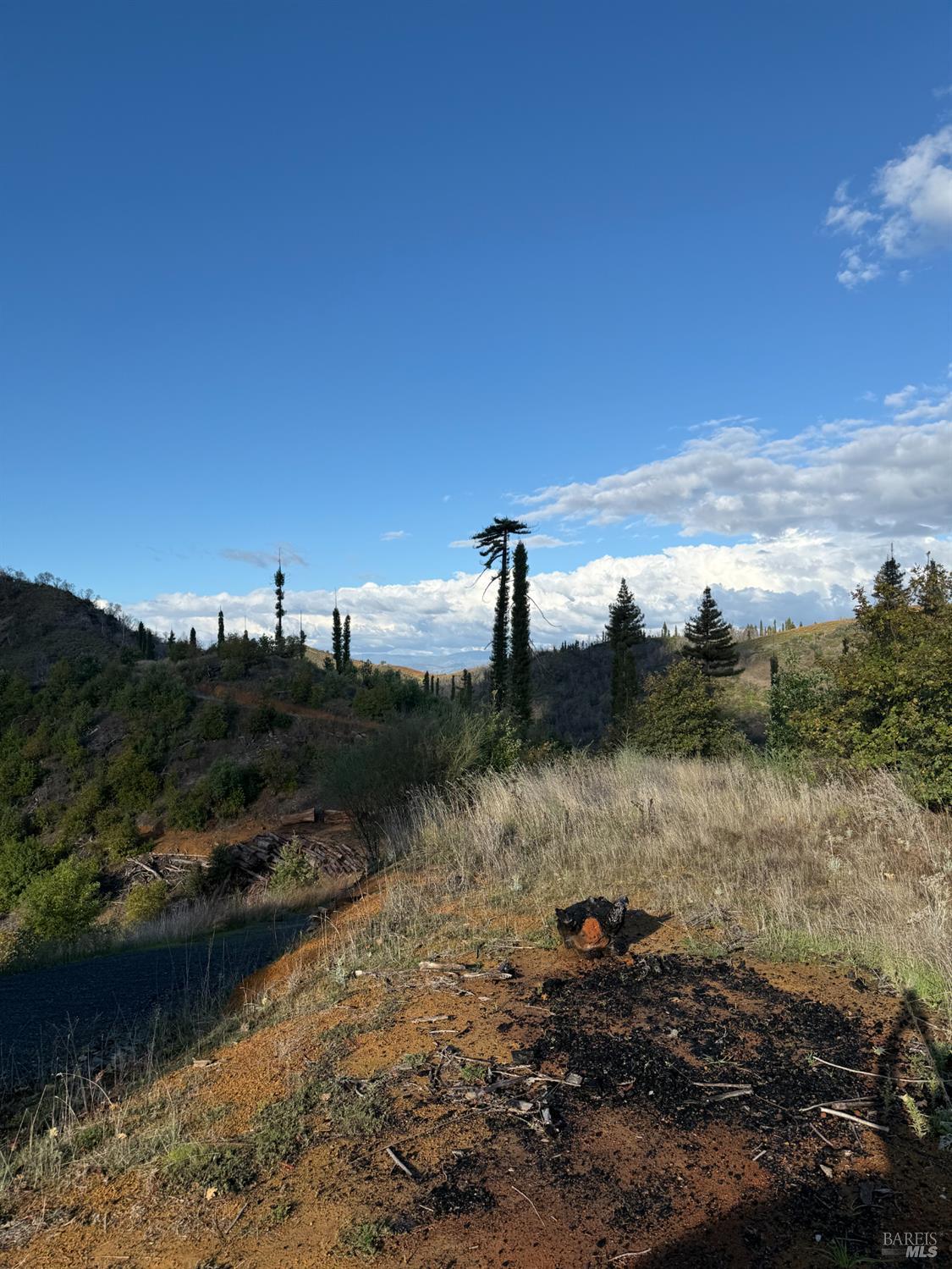 9451 Mill Creek Road