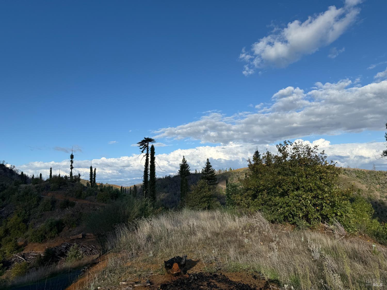 9451 Mill Creek Road