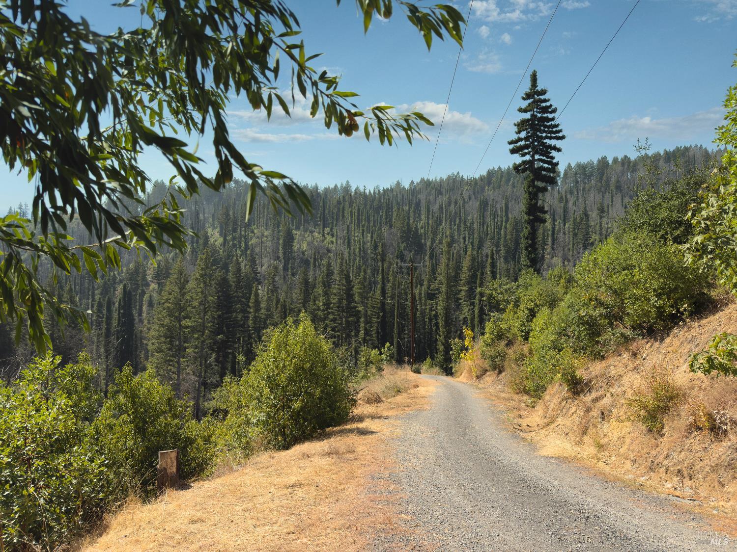 9451 Mill Creek Road