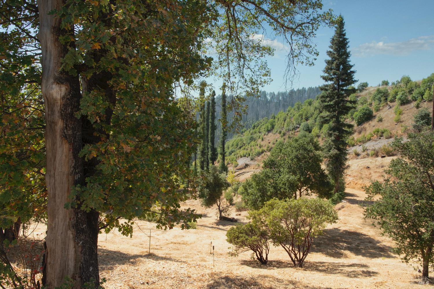 9451 Mill Creek Road