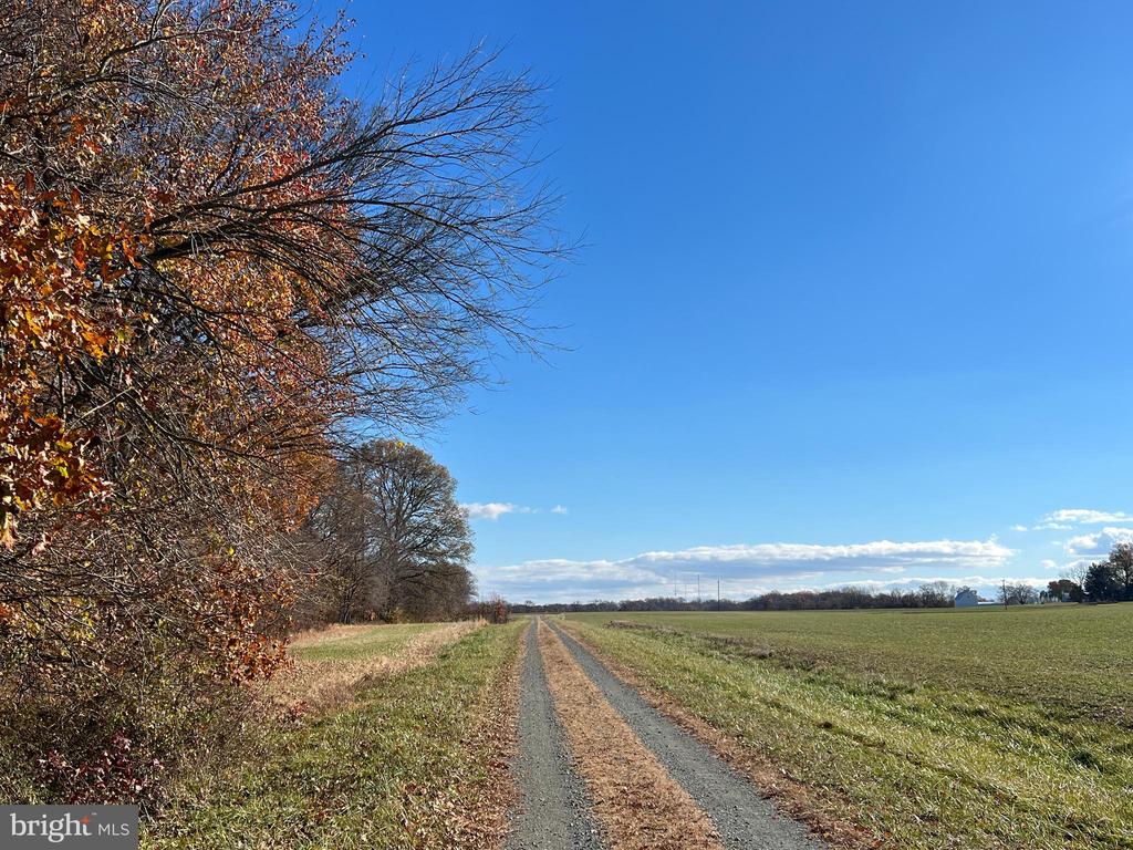 BLOOMINGDALE ROAD