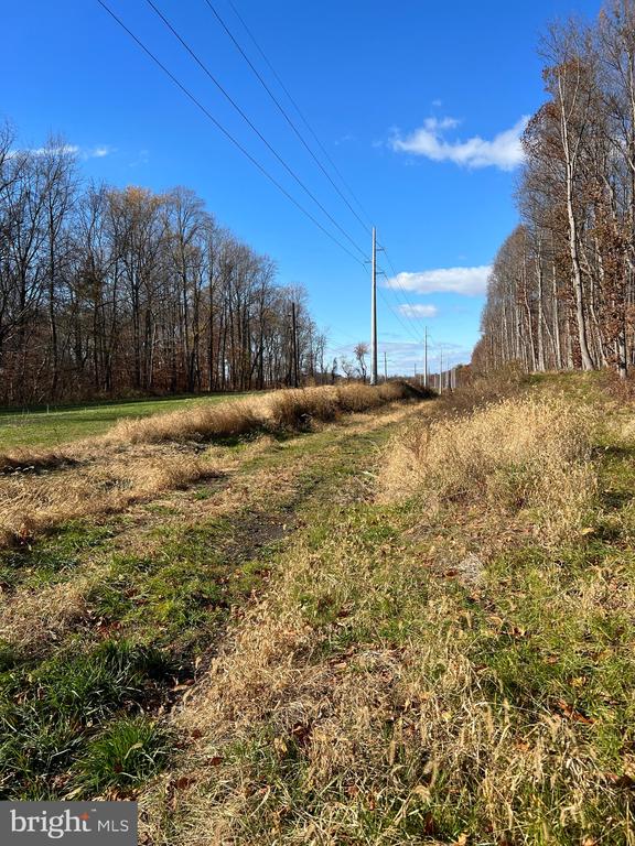 BLOOMINGDALE ROAD