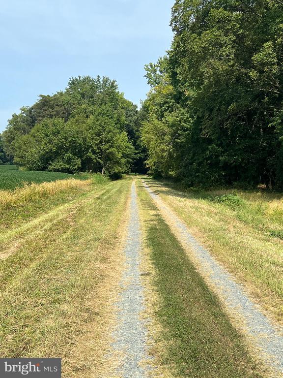 BLOOMINGDALE ROAD