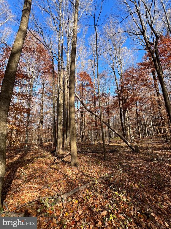BLOOMINGDALE ROAD