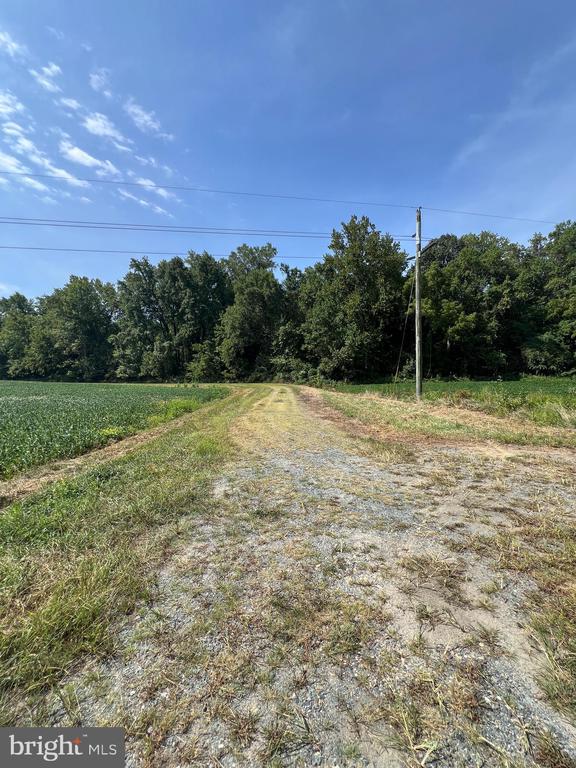 BLOOMINGDALE ROAD
