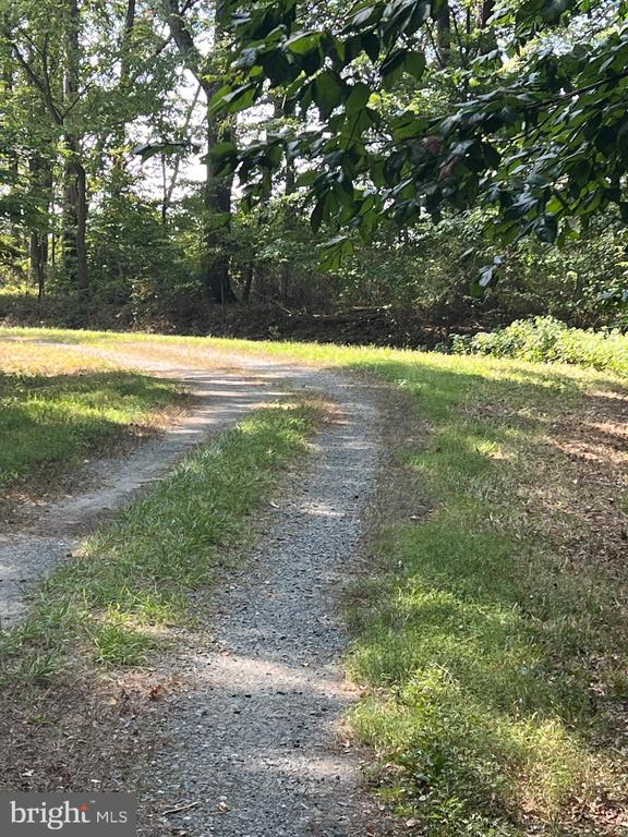 BLOOMINGDALE ROAD