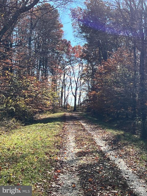 BLOOMINGDALE ROAD
