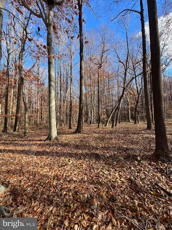 BLOOMINGDALE ROAD