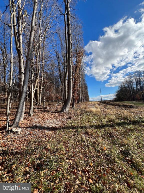 BLOOMINGDALE ROAD