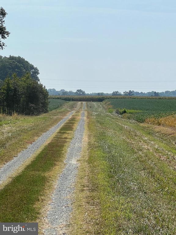 BLOOMINGDALE ROAD