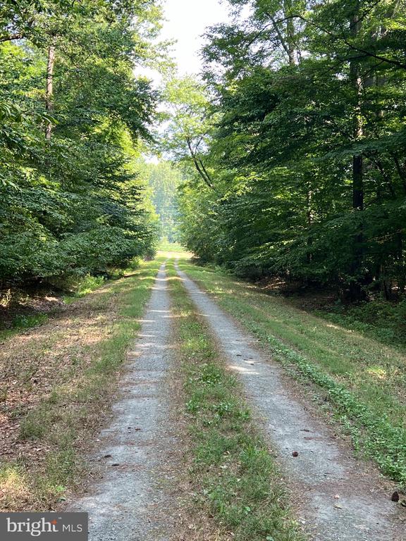 BLOOMINGDALE ROAD