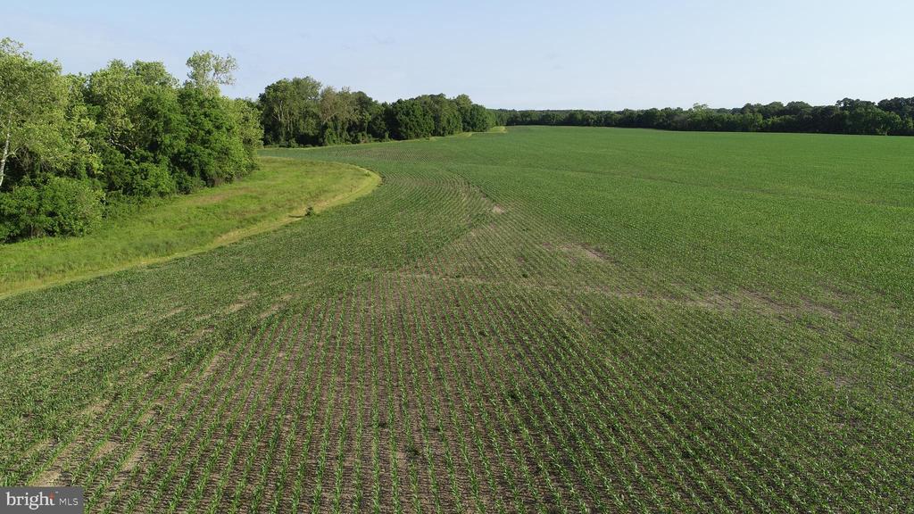 ALMSHOUSE ROAD