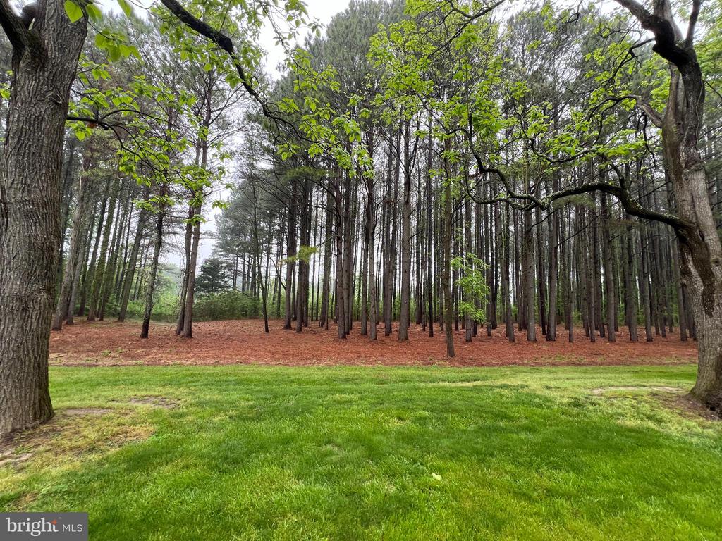 Lot A CATALPA POINT ROAD