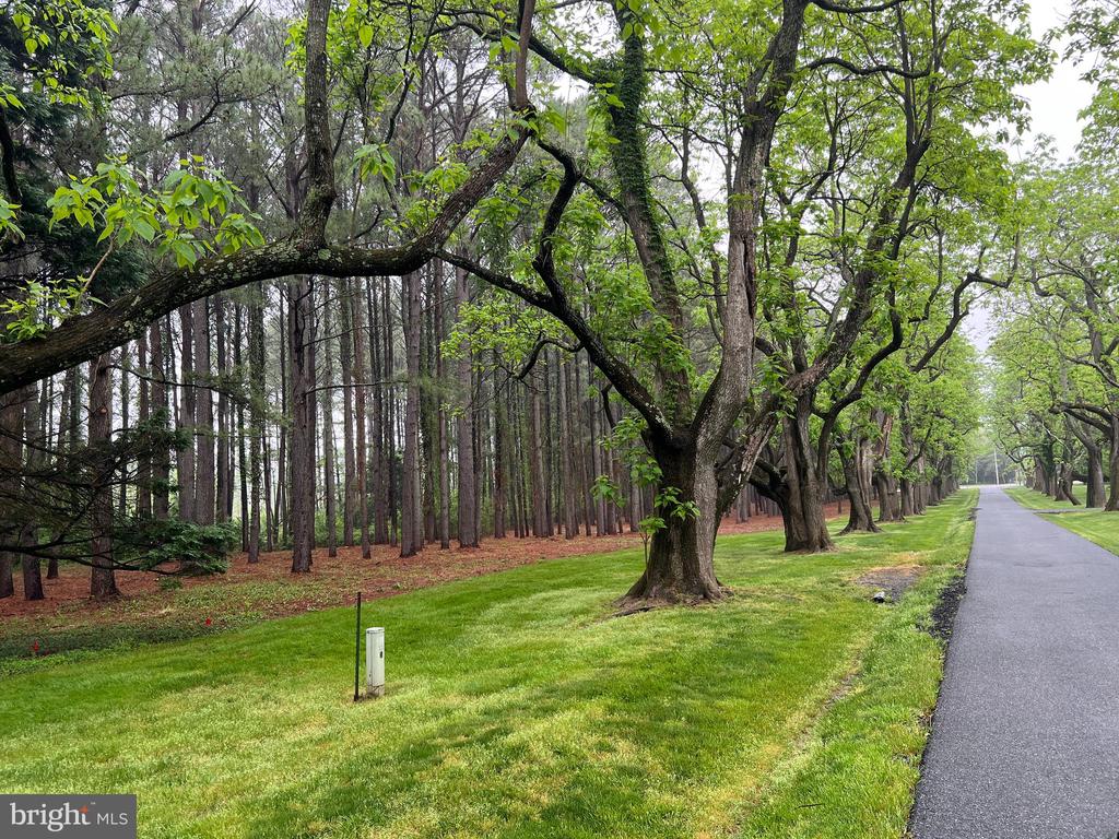 Lot B CATALPA POINT ROAD