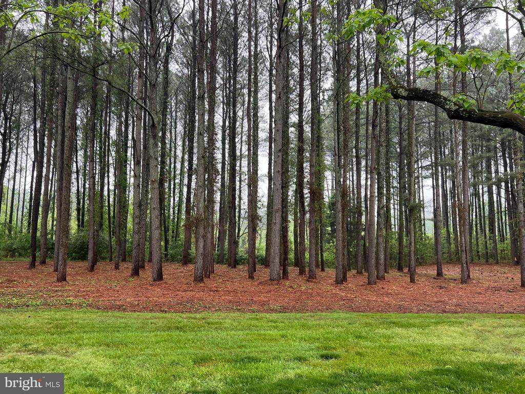 Lot B CATALPA POINT ROAD