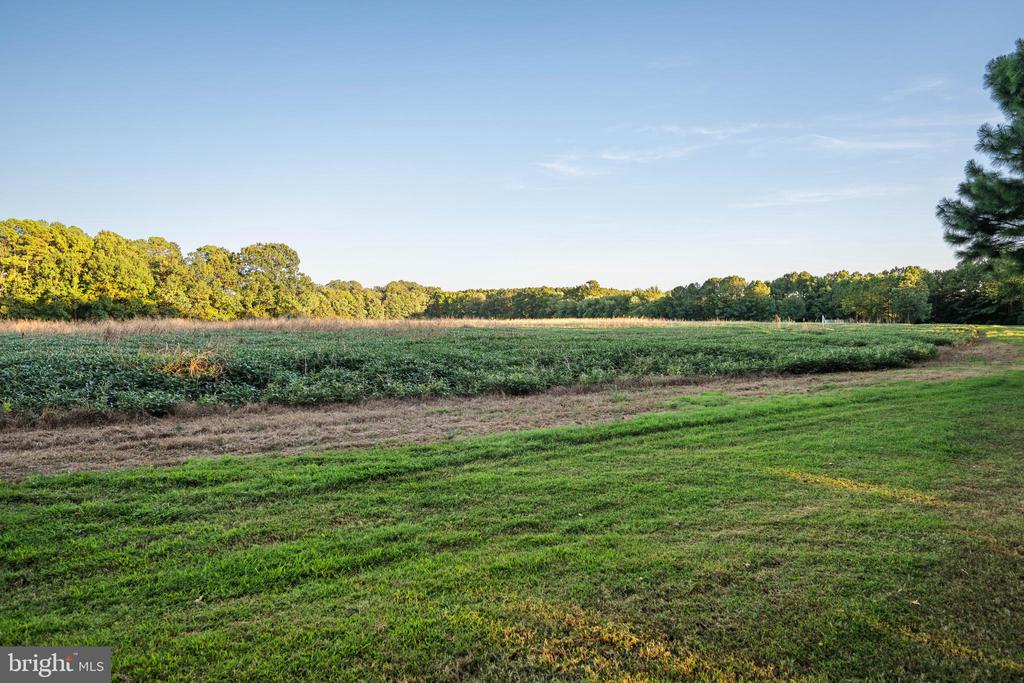 24390 DEEP NECK FARM LANE