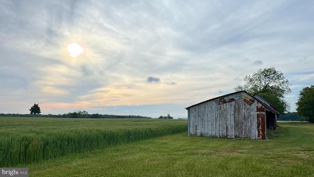 12633 CONNELLY ROAD