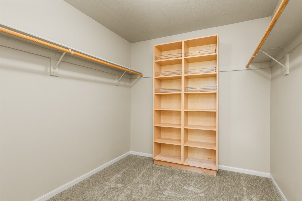 31040 Fallen Falcon TRAIL