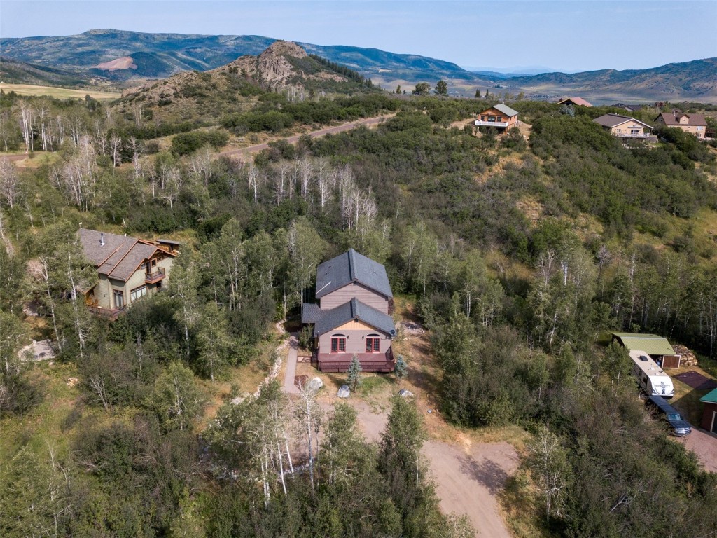 31040 Fallen Falcon TRAIL