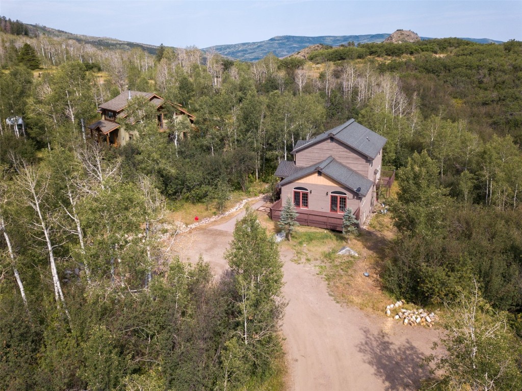 31040 Fallen Falcon TRAIL