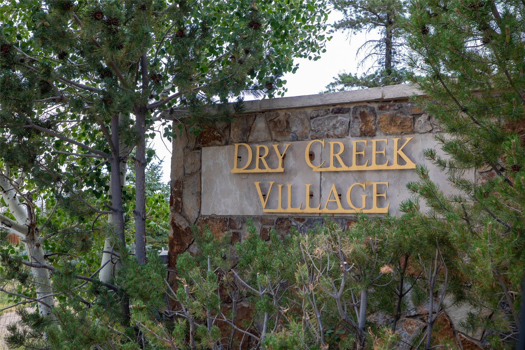 967 Dry Creek South ROAD