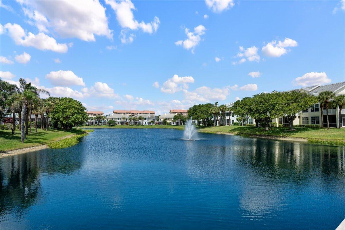 Community lake with a fountain, palm-lined banks, and residential buildings.