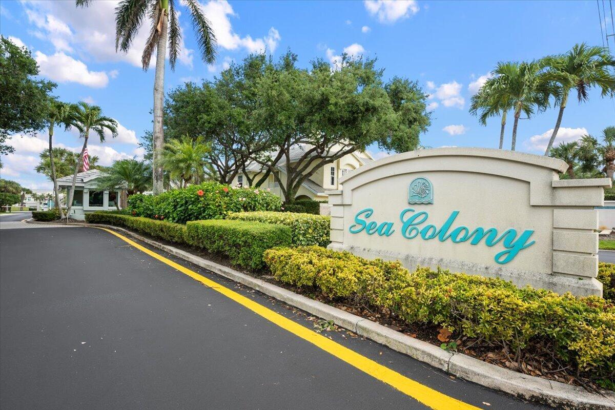 Sea Colony entrance sign beside a landscaped road and palm trees.