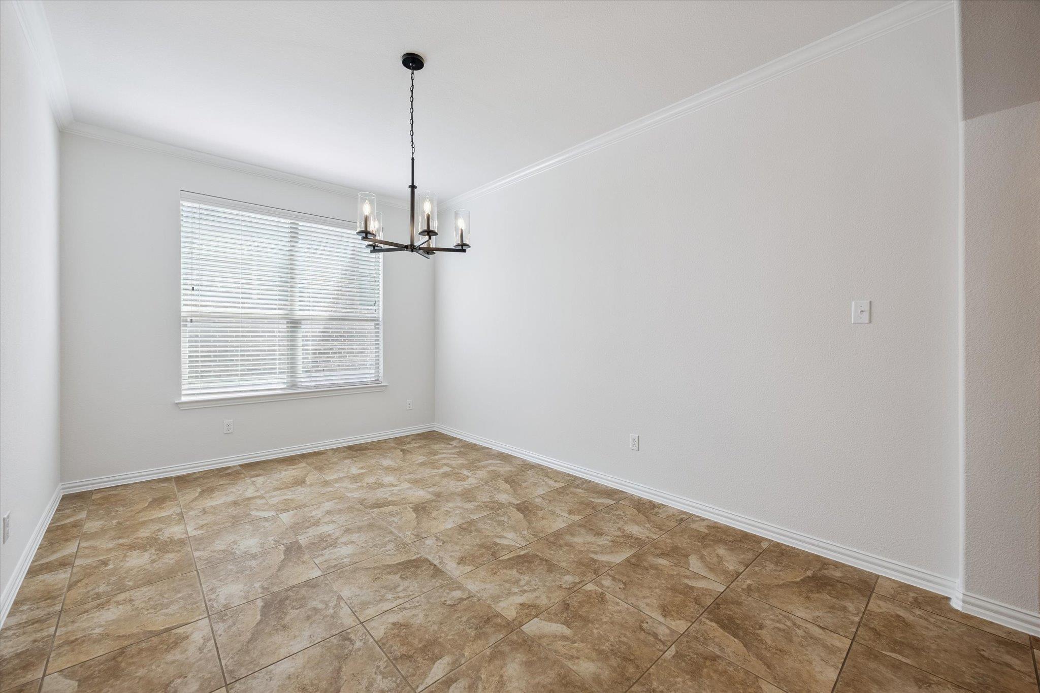 519 Cameron CV