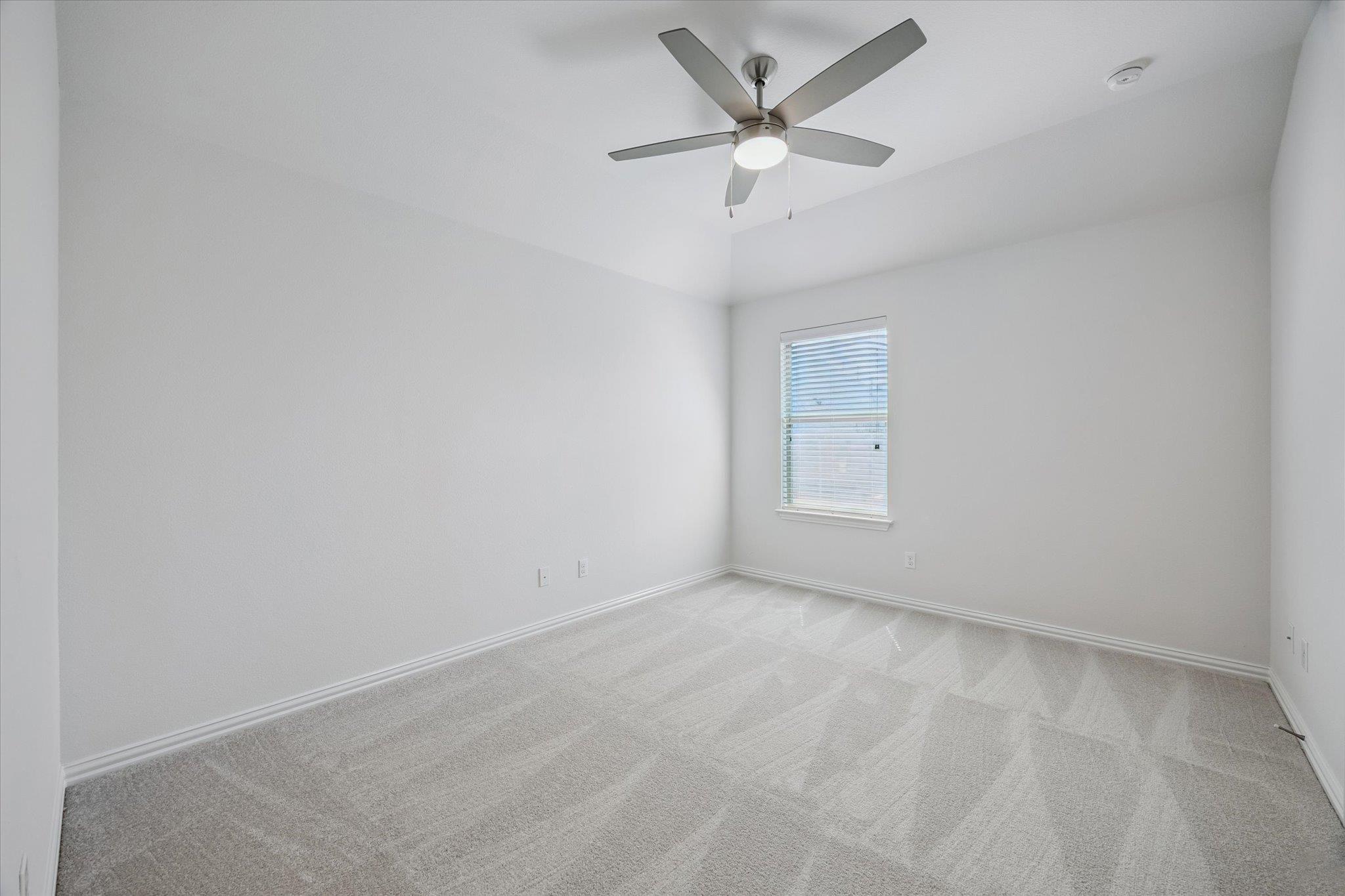519 Cameron CV