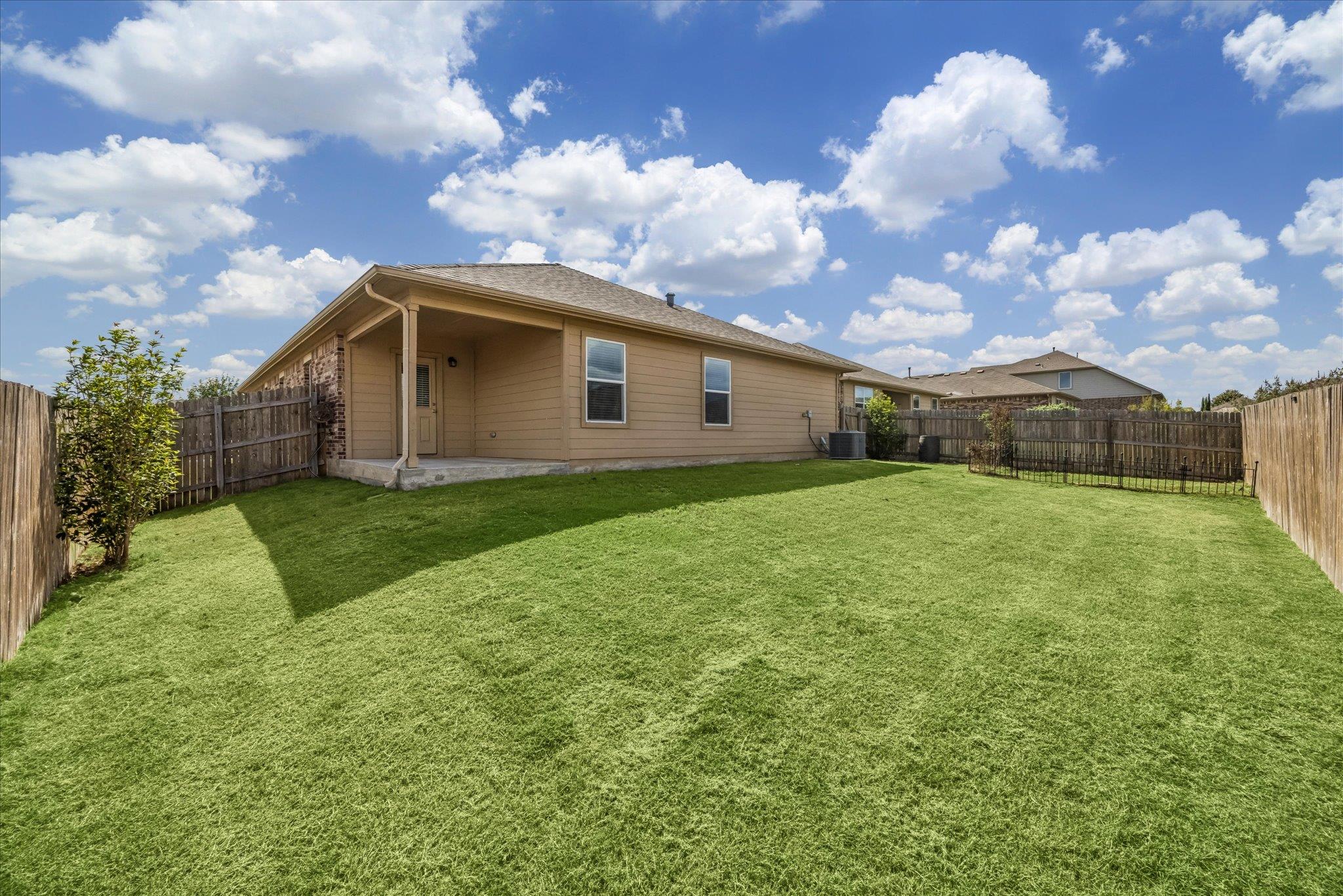 291 Dusky Thrush DR
