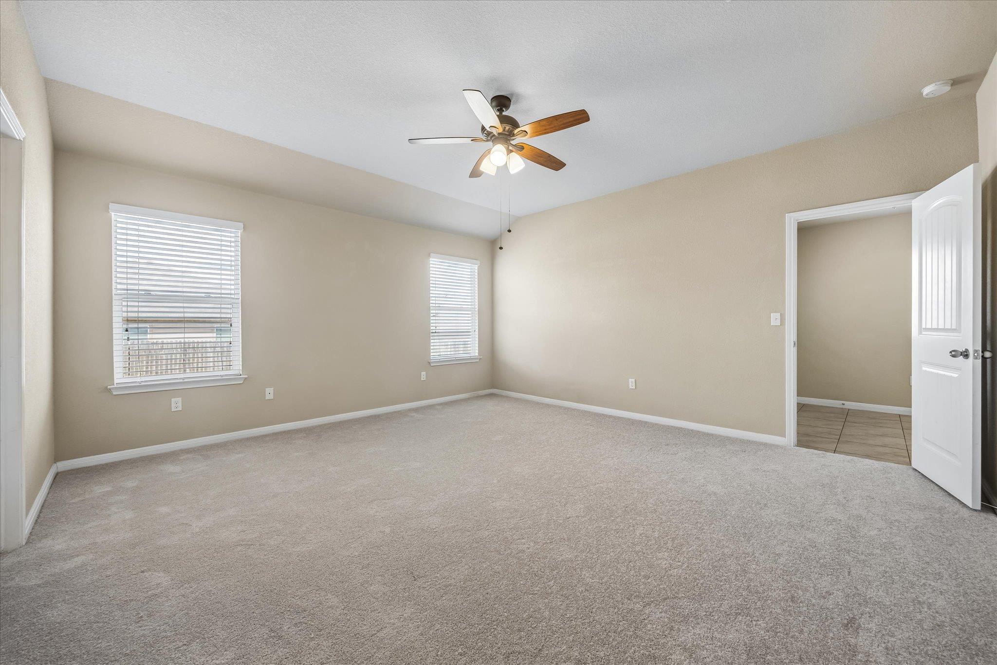 291 Dusky Thrush DR